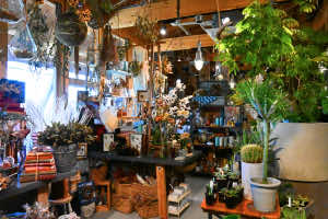 ai彩ひろば GREEN LOFT THE PARK
